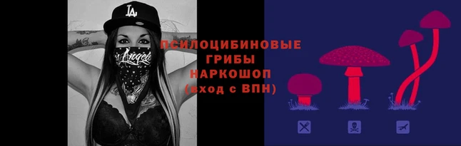 спайс Алексин