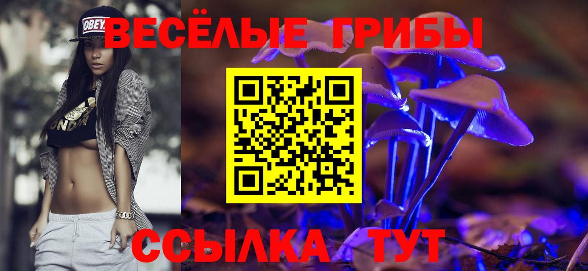 Псилоцибиновые грибы Cubensis Учалы