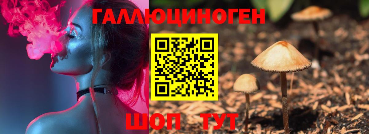Учалы  Псилоцибиновые грибы ЛСД  Вход с VPN 