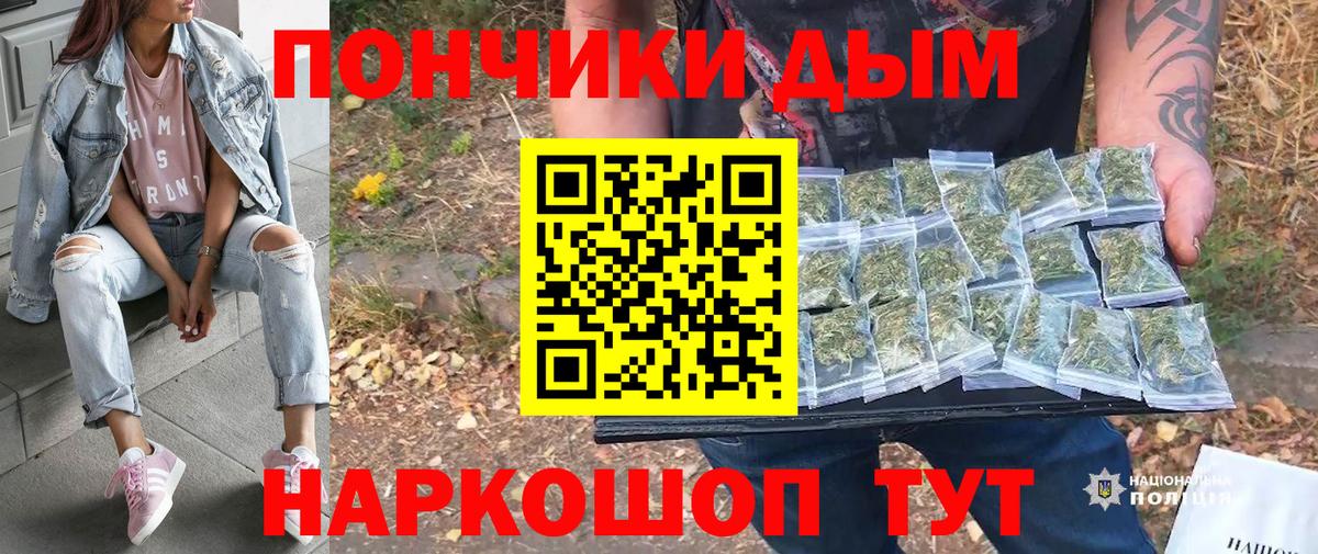 Бошки Шишки конопля Учалы